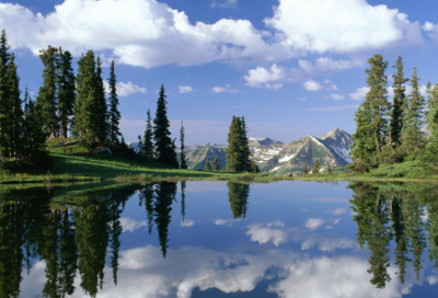 ​部编六年级下册第五单元《口语交际：辩论》优秀教案一等奖