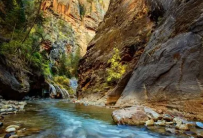 ​教育见习总结