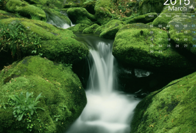 ​我的篮球梦作文