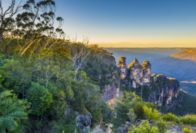​学校法治工作总结