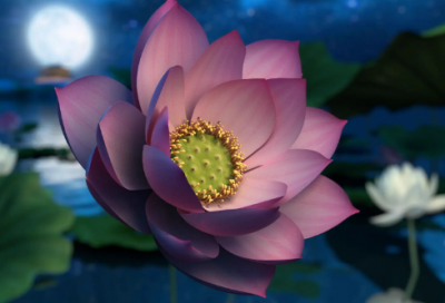 ​秋天作文600字（通用50篇）