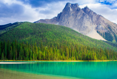 ​《安塞腰鼓》教案一等奖