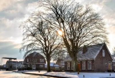 ​雪中情的作文