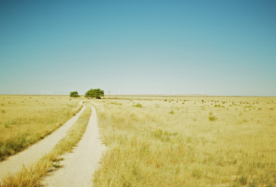 ​老舍《在烈日和暴雨下》教案一等奖