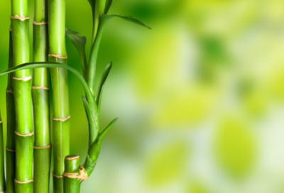 ​中秋节随笔作文（通用51篇）