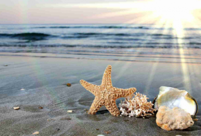 ​有关责任的作文600字（通用50篇）