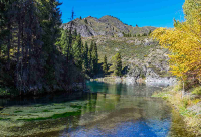 ​什么吸引了我作文