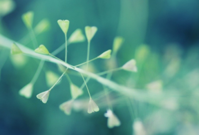 ​推荐一个好地方作文（精选71篇）