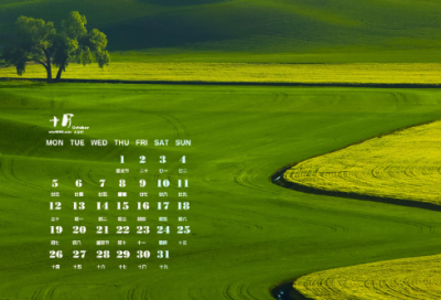 ​插上科学的翅膀飞作文