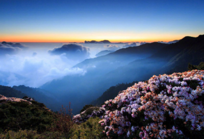 ​被遗忘的角落作文