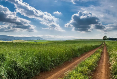 ​医务科工作总结20篇