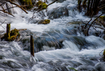 ​科研的工作计划