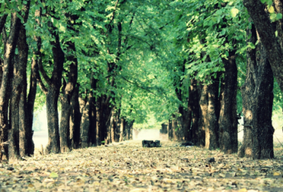 ​遇见作文500字（精选58篇）