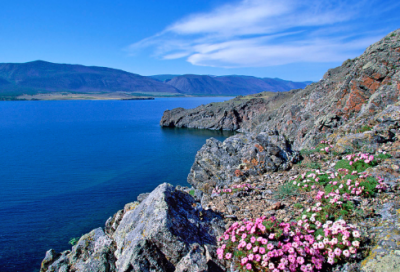 ​母亲节的文案