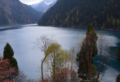 ​小学六年级日记