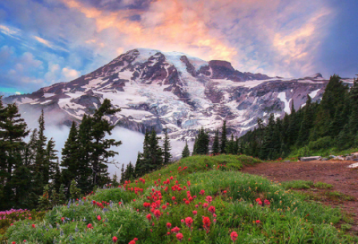 ​总结怎么写19篇