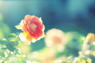 ​非诚勿扰搞笑语录78句