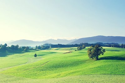 ​孔子语录翻译