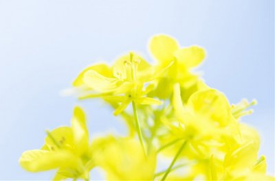 ​关于情人节搞笑语录光棍节恶搞语录搞笑(精选48句)