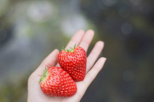 七龙珠孙悟空语录17句