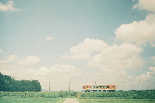 描写秋天枫叶的好段23句