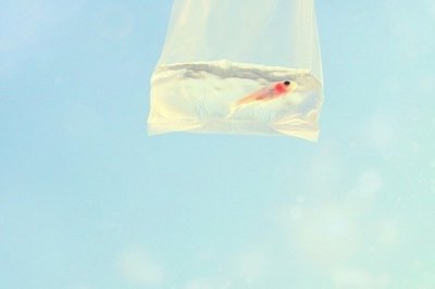 ​发朋友圈告白句子83句