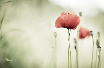 ​赞美教师的句子100句