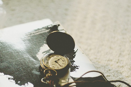 家的n次方语录56句