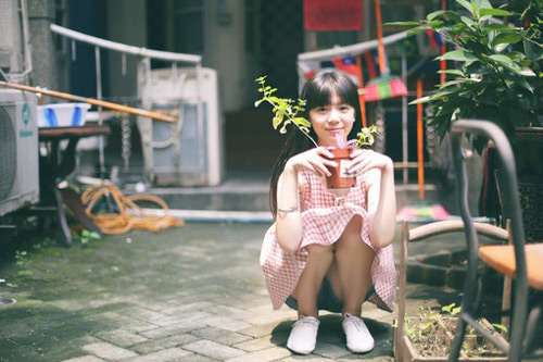 描写凤凰的句子(183句)