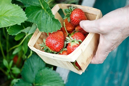 可爱唯美qq性签名85句