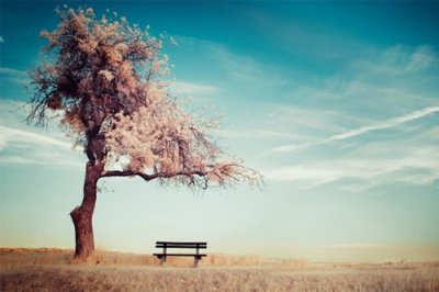 ​早上吸引朋友圈的句子适合早上发的朋友圈文案(精选38句)