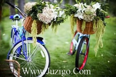 ​给运动员加油的话为运动员加油的句子(50句)