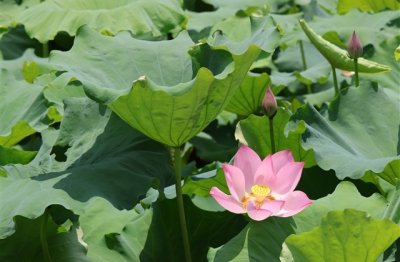 ​超好听的男生QQ网名(共1312个)