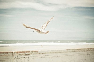 ​英文作文常用谚语136句