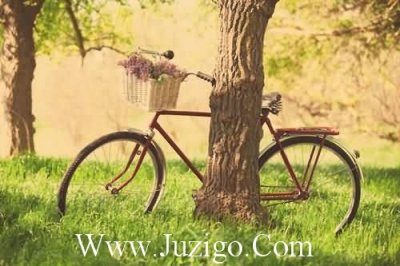 ​致敬抗疫英雄的话语赞美抗疫英雄的一段话(精选65句)