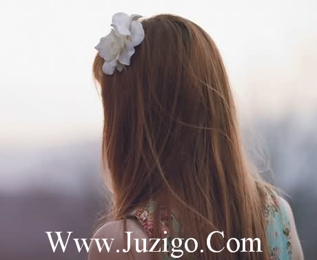 感恩母校的话感恩母校的(精选50句)