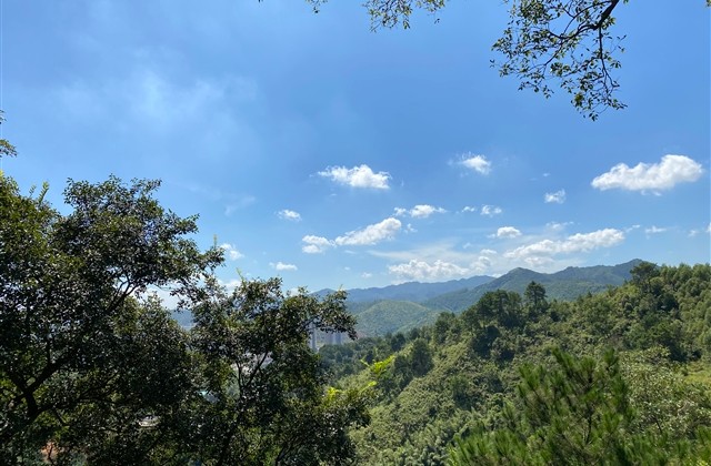 四个字难听情侣网名(优选552个)