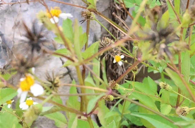 个性女生超拽霸气名字