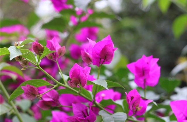 cf六个字名字大全冷酷(优选761个)