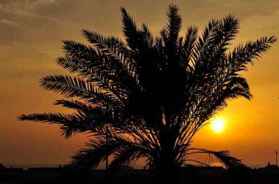 ​描写风的唯美句子（精选85句）