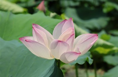 ​干净清新的女生网名(787个)