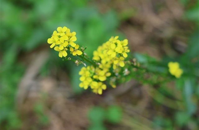 让人心动的qq网名(共801个)