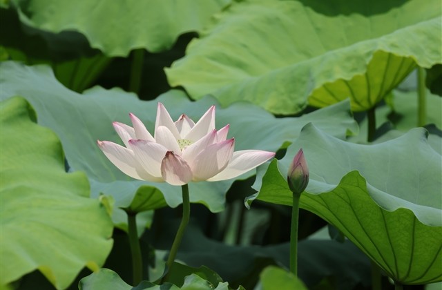 最新男生气质文艺范儿网名(785个)