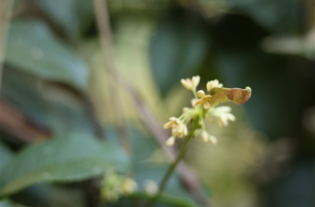 充满正能量的晚安心语(精选62句)