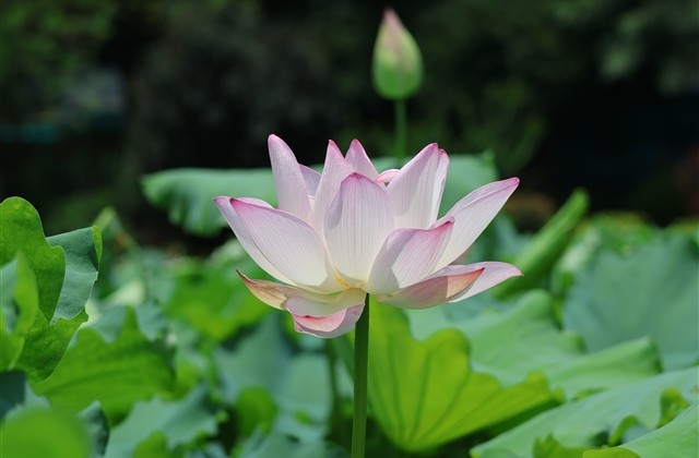 枪战王者伤感名字大全(精选444个)