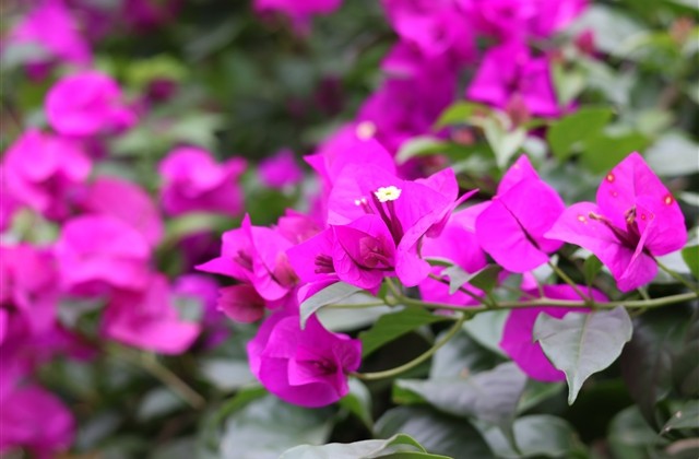 空间相册名字大全 qq空间相册名称简单(精选87个)