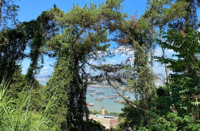 超级可爱又很俏皮的网名(优选122个)