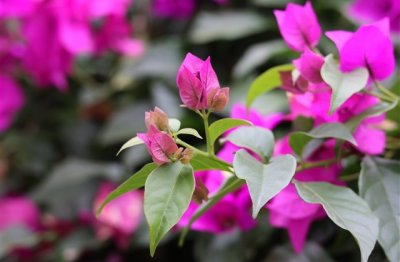 ​游戏名字简洁有寓意(精选591个)