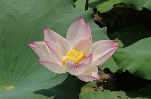 游戏名字简洁有寓意(精选591个)