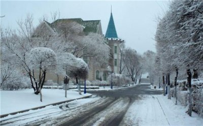 ​形容花的唯美短句[45句] (宋晏几道《清平乐》)